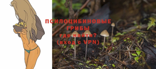 ALPHA-PVP Дмитровск
