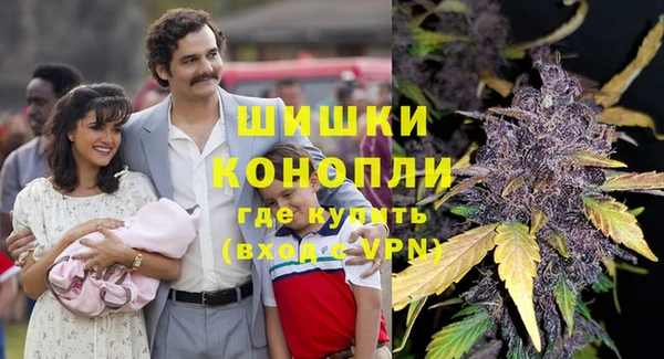 крисы Баксан